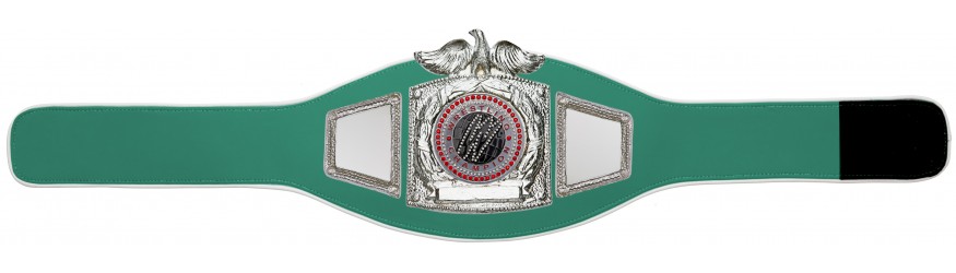 PROEAGLE WRESTLING CHAMPIONSHIP BELT - PROEAGLE/S/WRESTGEMS - 6+ COLOURS